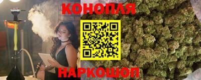СК Краснодар