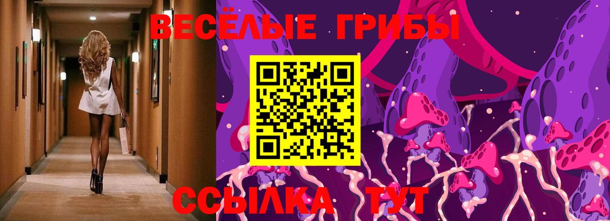 Псилоцибиновые грибы мицелий  Вход с VPN  Избербаш 